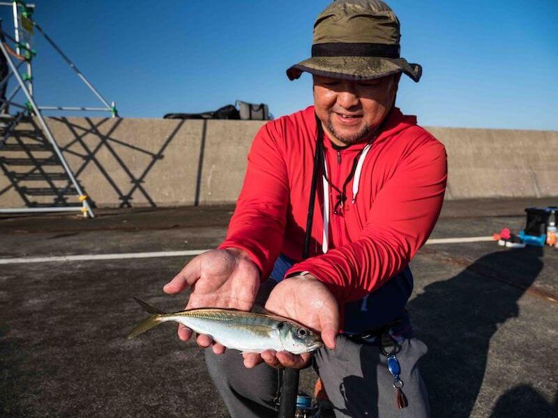 サビキ釣りとは｜時期や餌、仕掛け・釣り方のコツを初心者向け解説 | 魚種別釣りガイド